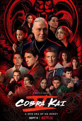 眼鏡蛇 第五季/Cobra Kai Season 5線上看