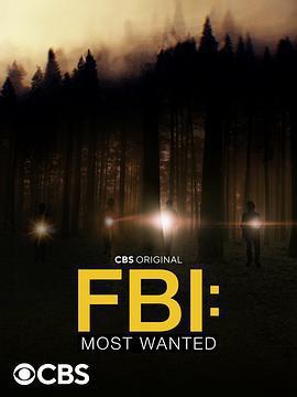 聯邦調查局：通緝要犯 第四季/FBI: Most Wanted Season 4線上看