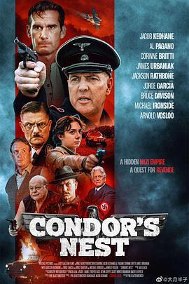 禿鷹的巢穴/Condor's Nest線上看