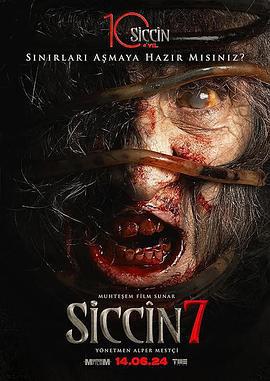 西辛7/Siccin 7線上看