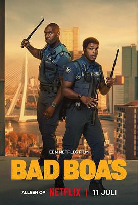 凹凸雙雄/Bad Boa's線上看