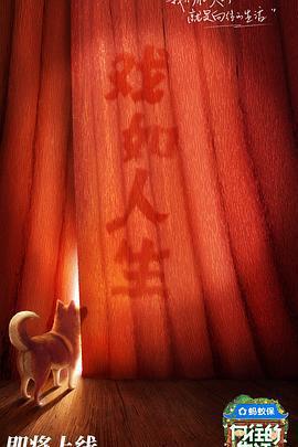 嚮往的生活 第八季線上看