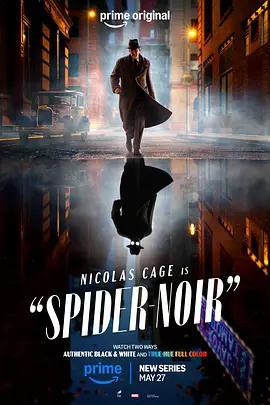 暗影蜘蛛俠/Spider-Noir線上看