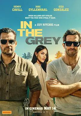 金諜行動/In the Grey線上看