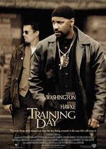 訓練日/Training Day線上看