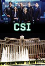 犯罪現場調查 第二季/CSI: Crime Scene Investigation Season 2線上看