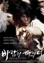 風鬥士/바람의 파이터線上看