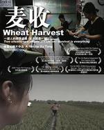 麥收線上看