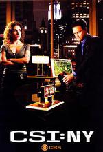 犯罪現場調查：紐約 第五季/CSI: NY Season 5線上看