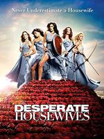 絕望主婦 第六季/Desperate Housewives Season 6線上看