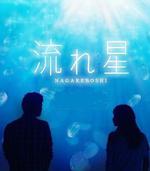 流星/流れ星線上看