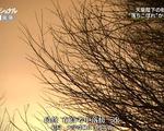 外科醫生天野篤 一心一意 搭建未來/仕事の流儀 一途一心 明日をつむぐ 心臓外科醫 天野篤線上看