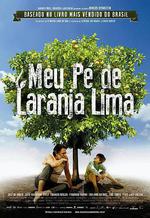 我親愛的甜橙樹/Meu Pé de Laranja Lima線上看