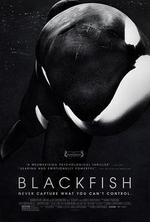 黑鯨/Blackfish線上看