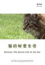 BBC地平線：貓的祕密生活/Horizon: The Secret Life of the Cat線上看