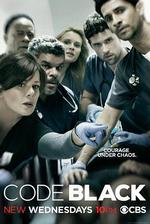 黑色警報 第一季/Code Black Season 1線上看