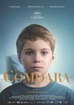 寶藏/Comoara線上看
