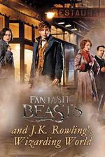 神奇動物與J·K·羅琳的魔法世界/Fantastic Beasts and J.K. Rowling’s Wizarding World線上看