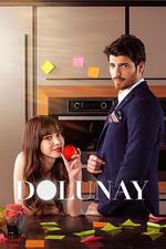 滿月/Dolunay線上看