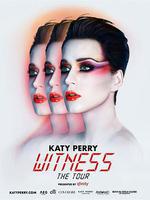 凱蒂·派瑞：你會見證我嗎/Katy Perry: Will You Be My Witness?線上看