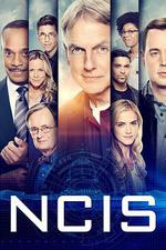 海軍罪案調查處 第十六季/NCIS: Naval Criminal Investigative Service Season 16線上看