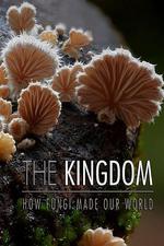 真菌王國/The Kingdom: How Fungi Made Our World線上看