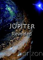 木星揭祕/Jupiter Revealed線上看