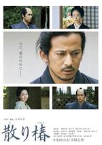 山茶花飄零/散り椿線上看