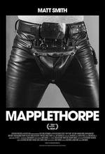 梅普爾索普/Mapplethorpe線上看
