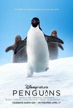 企鵝/Penguins線上看
