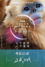 七個世界，一個星球/Seven Worlds, One Planet線上看
