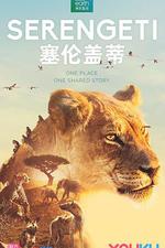塞倫蓋蒂 第一季/Serengeti Season 1線上看