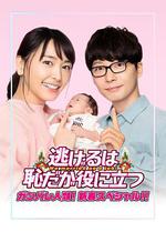 逃避雖可恥但有用 新春特別篇/逃げるは恥だが役に立つ ガンバレ人類! 新春スペシャル!!線上看