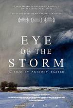 風暴之眼/Eye of the Storm線上看