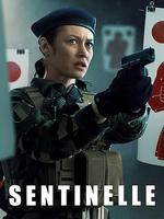 哨兵行動/Sentinelle線上看