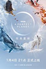 完美星球/A Perfect Planet線上看