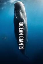 追蹤海洋巨獸/Chasing Ocean Giants線上看