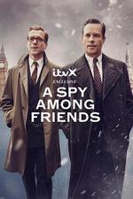 敵友難辨/A Spy Among Friends線上看