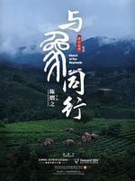 與象同行線上看