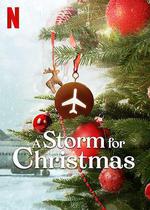 聖誕風暴/A Storm for Christmas線上看