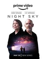 夜空/Night Sky線上看