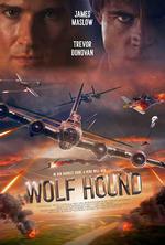 獵狼犬行動/Wolf Hound線上看