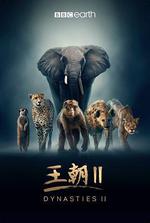 王朝 第二季/Dynasties Season 2線上看