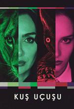 直線篡位/Kuş Uçuşu線上看