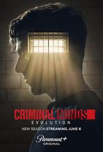 犯罪心理：演變 第十七季/Criminal Minds: Evolution Season 17線上看
