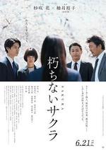 不朽的櫻花/朽ちないサクラ線上看