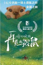 再見土撥鼠線上看