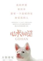 心犬相隨/โกฮัง..หัวใจโกโฮม線上看