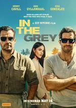 金諜行動/In the Grey線上看