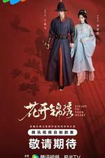 花開錦繡線上看